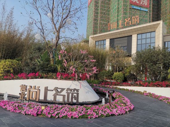 信业尚上名筑花园实景图
