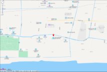临港新片区奉贤园区二期B1503等地块电子地图