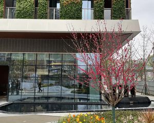 御园丰锦4室1厅东南