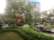 碧桂园樾府4室2厅南