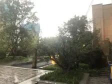 碧桂园樾府 3室2厅 东南