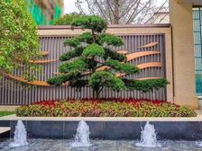 民发庞公别苑E区 5室3厅 东南