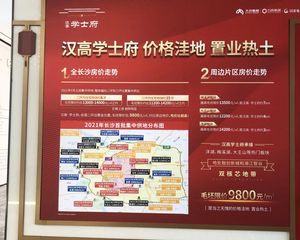 洋湖西中医药大学旁次新小区毛坯四房低价出
