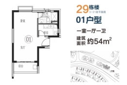 恒大泉都1室1厅1厨1卫建面54.00㎡