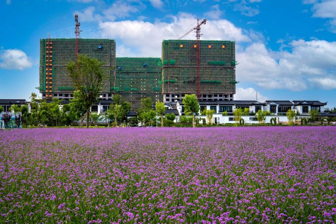 【潍坊蓝城锦绣桃李春风( 奔月小镇)小区,二手房,租房】- 潍坊房天下