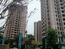 景瑞江山御府 3室1厅 南