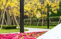 花样年香门第世家实景图