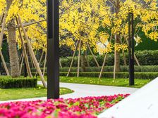 花样年香门第北区4室2厅南
