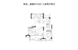 华侨城半汤温泉小镇3室2厅1厨2卫建面102.00㎡