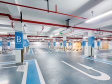 店长推荐北纬31°凤凰层诚意出售