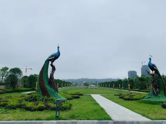 碧桂园·凤凰城怎么样:是第三方物业公司吗?绿化.-贵阳房天下楼盘点评