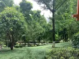 周边配套公园