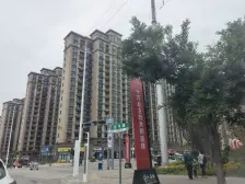 双拼别墅 车位充足 南北通透 小区绿化高