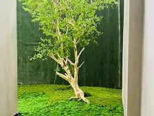 璧山街道 时代云著一期高层三房