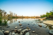 西院湖生态园实景