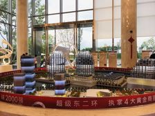 龙湖天曜 5室2厅 东南 西南