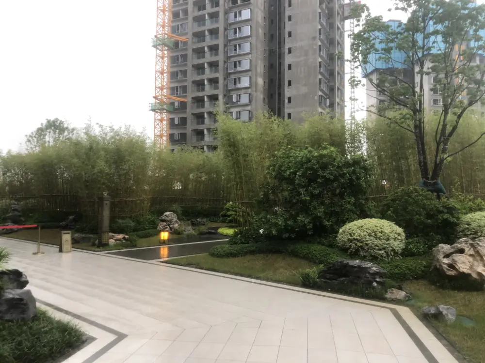 实景图