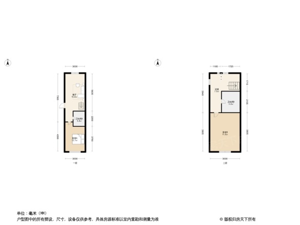 天恒森林里