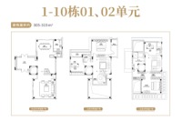 1-10栋建面约305-315平别墅户型