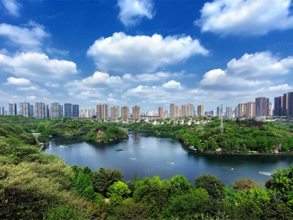 实景图