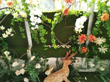 早安时区证过二带地下车位看房随时方便