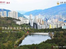 宏声大道 金科博翠府三房49万