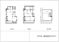 165平D3户型