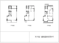 250平B1户型