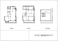 118平C3户型