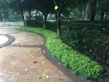 李家沱 融汇半岛公园里三房86万