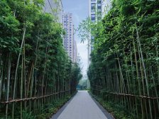 弹子石商圈 次新洋房 园林景观优美 品质居住小区