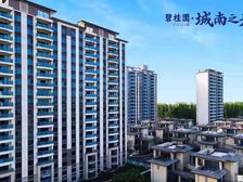 城南碧桂园别墅合院 共4层 可装电梯 2个大露台