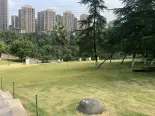 周边公园实景图