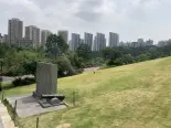 周边公园实景图