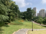 周边公园实景图