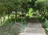 周边公园实景图
