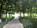 周边公园实景图
