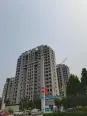 在建工地实景图