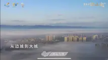 碧桂园·江山樾秀山鸟瞰图