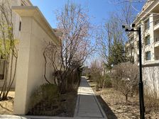 邦成宫园墅185平,洋房采光视野好,赛罕塔拉公园