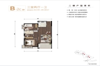 二期B-2c户型