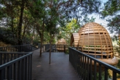 三层 森林探险乐园——松果树屋