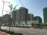 在建工地实景图