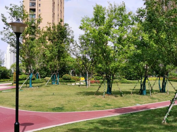 招商花园城实景图