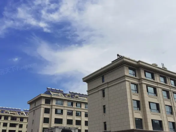 金庆名仁府实景图