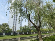 花语江南品质上叠,小区中间位置,诚意出售,户型正气