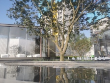 悦来 保利和光尘樾一期四房120万