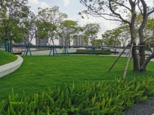 中海观澜府 海珠南向江景 内部4.2万方起 专车接送