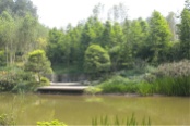 周边黎香湖湿地公园13