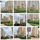 【尚得公馆】| 平原县光明西大街以北与康宁路以西尚德公馆3幢经营性配套公建-10房产